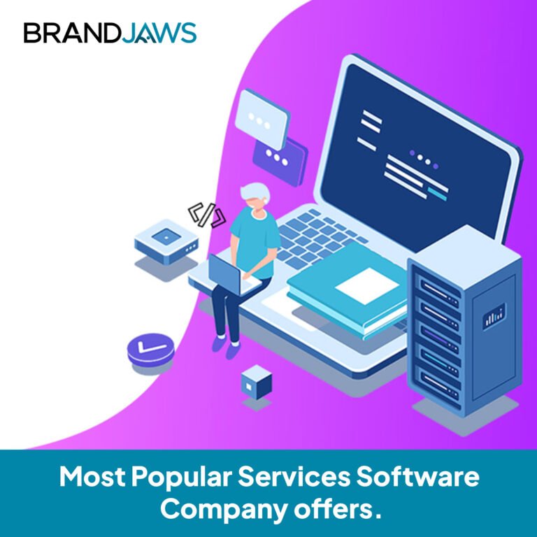 Most Popular Services Software Company offers