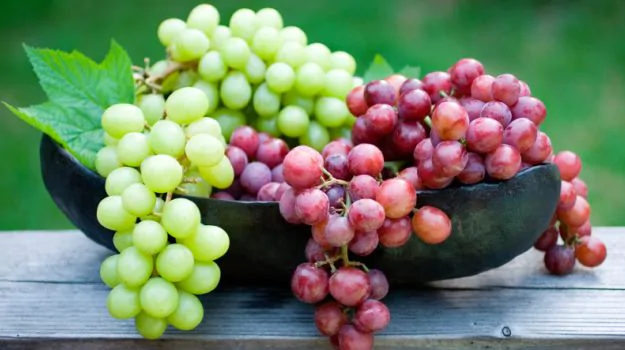 The medical advantages of grapes for men are various.