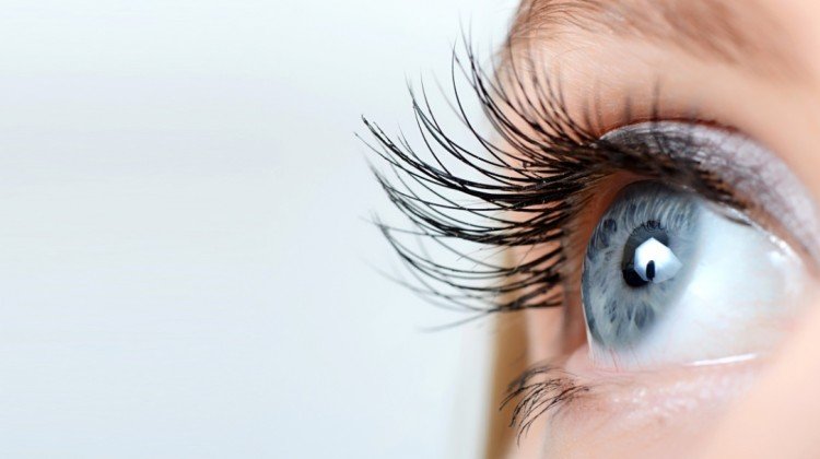 Interesting facts regarding your eyelashes